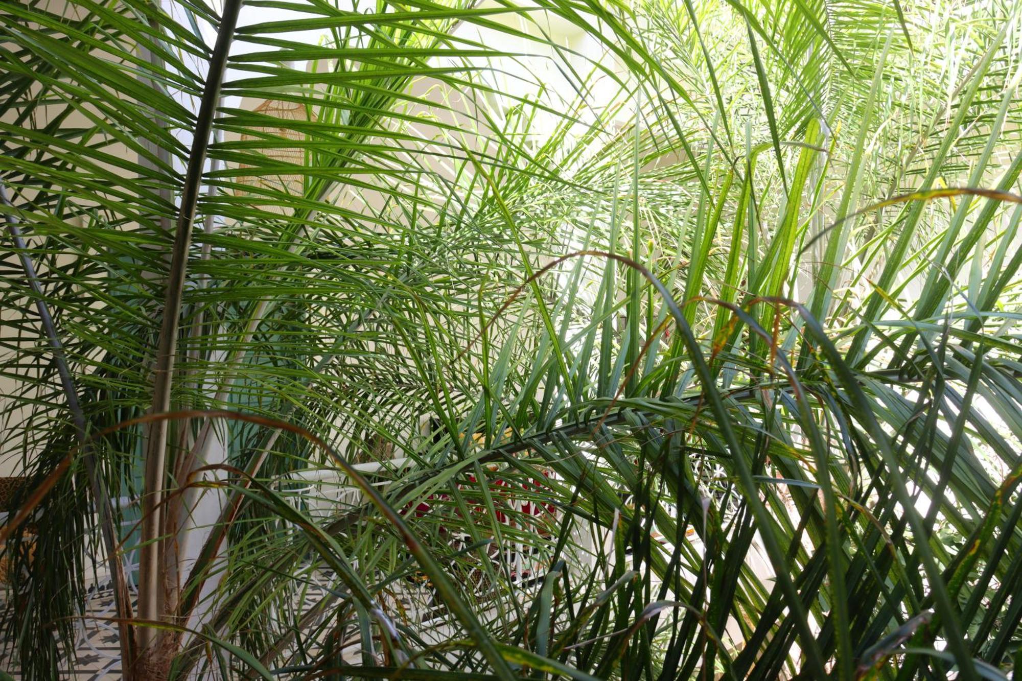 Riad Naanaa Bed & Breakfast Marrakesh Extérieur photo