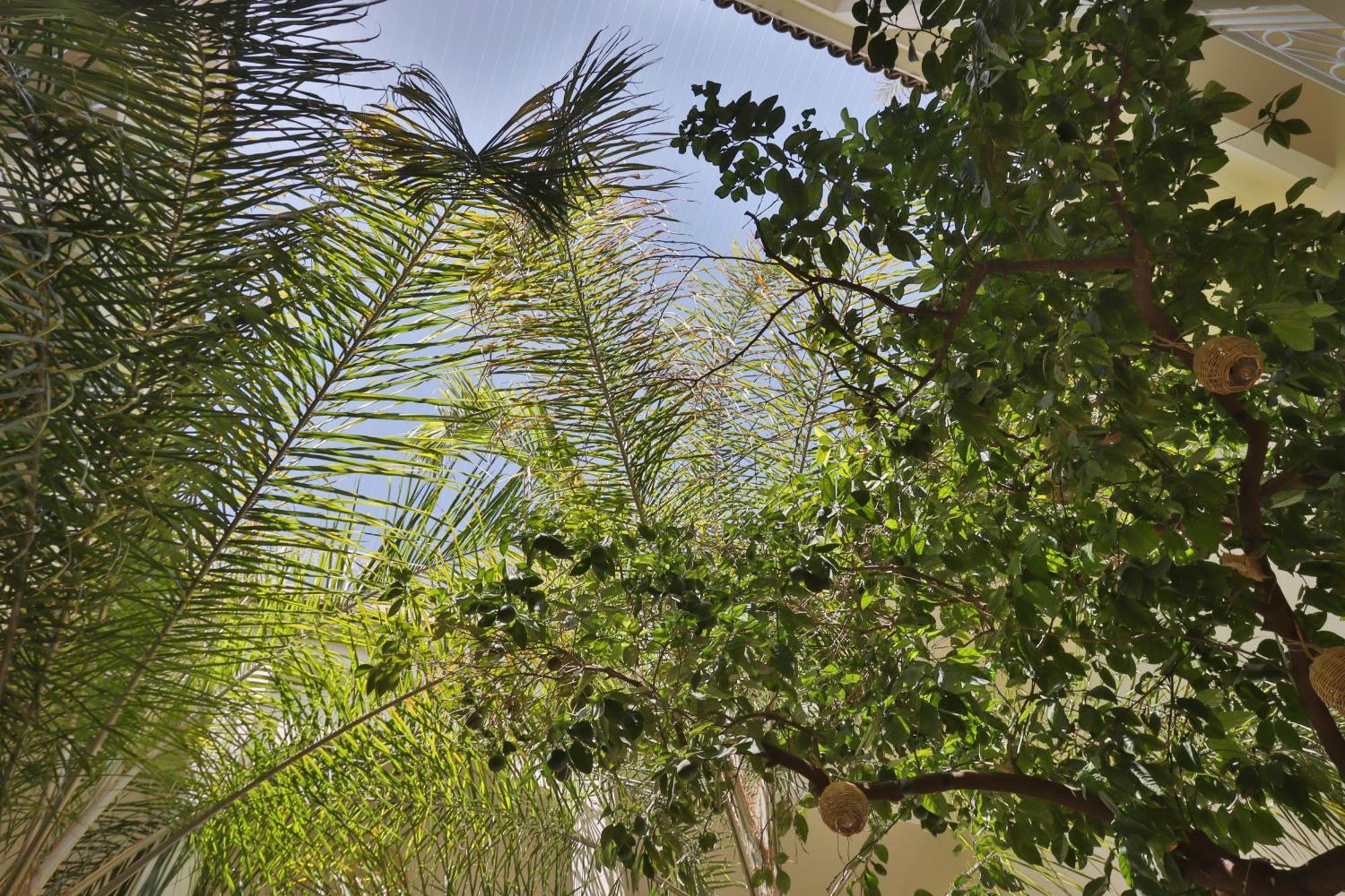 Riad Naanaa Bed & Breakfast Marrakesh Extérieur photo